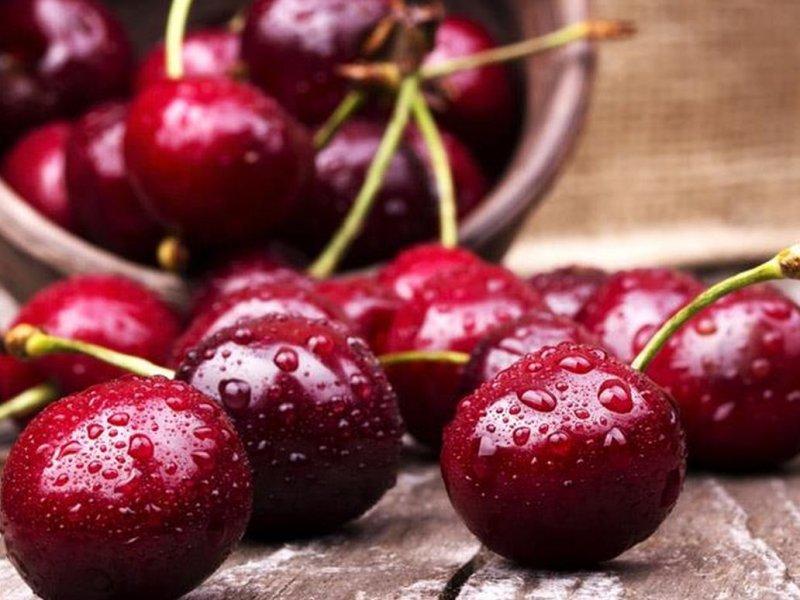 Вишня купить саженцы из питомника в Кольчугино